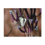Touches Even The Smallest Flower postcards