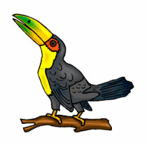 Toula Toucan