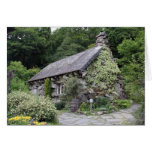 Tourist Attraction In Wales Ugly House cards