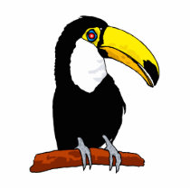 Tournival Toucan