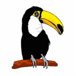 Tournival Toucan photo sculptures