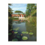 Tower Grove Park Lily Pond Postcard