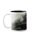 Towering tree and vines in jungle coffee mugs
