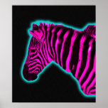 Toxic Zebra - Poster posters