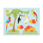 Toy Birds postcards