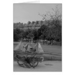 Toy Boats cards