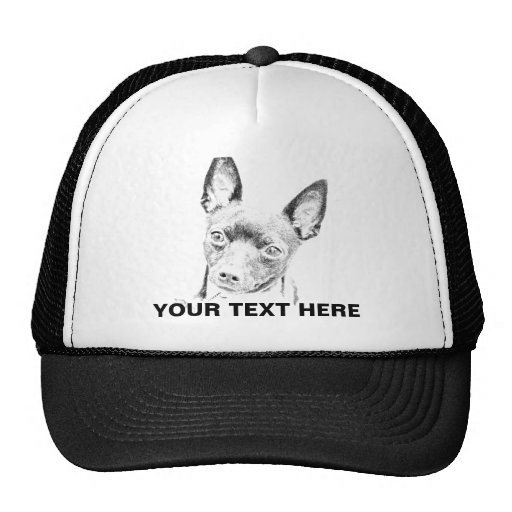 TOY FOX TERRIER HAT