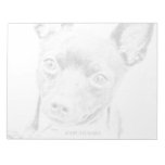 Toy Fox Terrier Scratch Pads