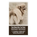 Toy Pom Puppy Business Card