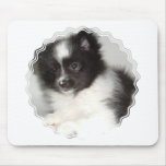 Toy Pomeranian Mouse Pad
