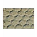 trace of tyre in the sand t-shirts