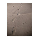 Traces in the sand - beach footprints postcards