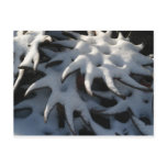 Tractor Cultivator Wheel Christmas Postcard