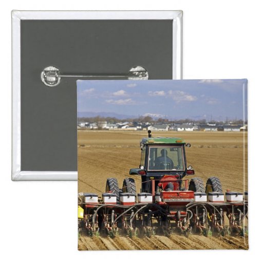 Tractor pulling a seed corn planter. pinback buttons