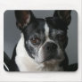 Tracy Mousepads