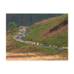 Traffic Jam Postcard