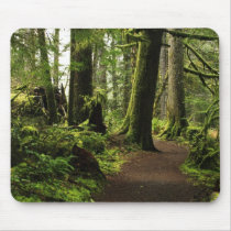 Trail Amongst Giants Mousepads