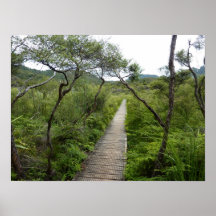 Trail to Hot Springs Poster/Print