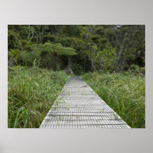 Trail to Hot Springs Poster/Print