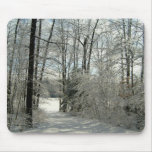 Trail To The Winter Lake-Mousepad