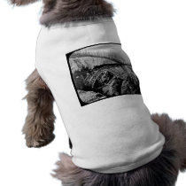 Train Crossing Arched Bridge Magic Lantern B&W Pet Clothes