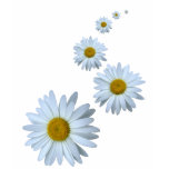 Train of daisies t-shirts