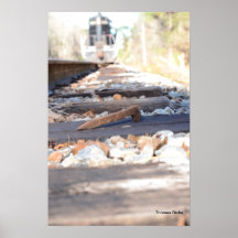 Train Spike Print