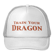 Train Your Dragon Gifts Hat
