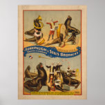 Trained Seals Circus Poster - Forepaugh & Sells
