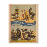 Trained Seals Circus Poster - Forepaugh & Sells Post Cards