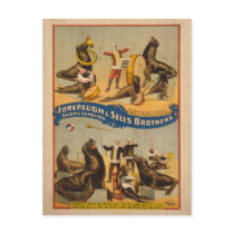 Trained Seals Circus Poster - Forepaugh & Sells