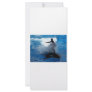 Trainer riding on killer whale orca photograph custom rack cards
