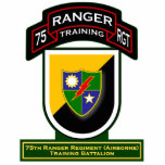 Training Bn, 75th Ranger Regiment - Airborne 2 Photo Cut Out