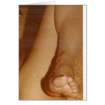 Trampled Under Foot cards