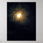 Tranquil Moon Canvas Print