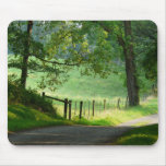 "Tranquil Path"-Country Lane Landscape