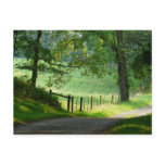 "Tranquil Path" Summer Landscape Postcards