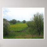 tranquil Trees Rural Landscape Poster