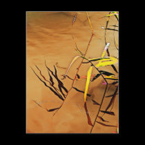 Tranquility Postcard