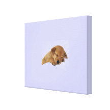 Tranquillity Canvas Prints
