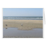Tranquillity cards