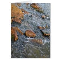 Tranquillity Greeting Cards