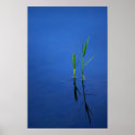 Tranquillity posters