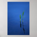 Tranquillity