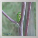 Tranquillity Poster posters