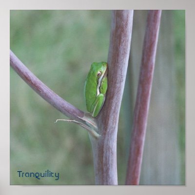 Tranquillity Poster by GypsyOwl