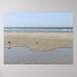 Tranquillity posters