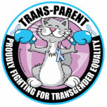 Trans-Parent Cat Fighter photo sculptures
