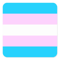 Trans Pride stickers - rounded