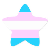 Trans Pride stickers - stars